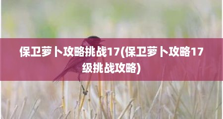 保卫萝卜攻略挑战17(保卫萝卜攻略17级挑战攻略)