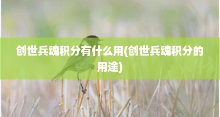 创世兵魂积分有什么用(创世兵魂积分的用途)