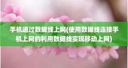 手机通过数据线上网(使用数据线连接手机上网的利用数据线实现移动上网)