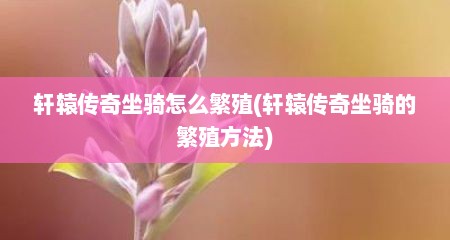轩辕传奇坐骑怎么繁殖(轩辕传奇坐骑的繁殖方法)