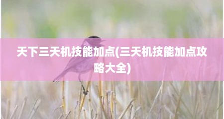 天下三天机技能加点(三天机技能加点攻略大全)