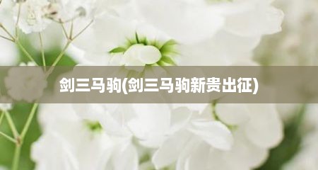 剑三马驹(剑三马驹新贵出征)
