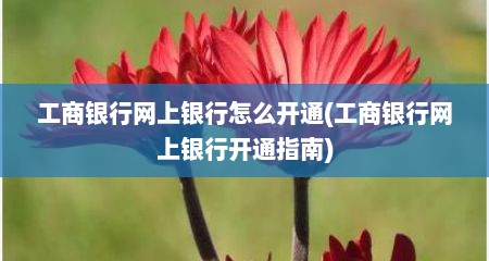 工商银行网上银行怎么开通(工商银行网上银行开通指南)