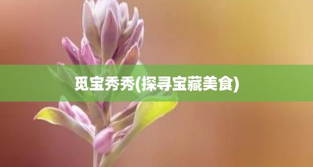 觅宝秀秀(探寻宝藏美食)