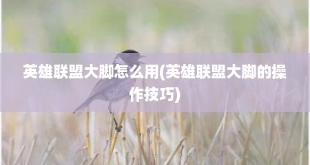英雄联盟大脚怎么用(英雄联盟大脚的操作技巧)