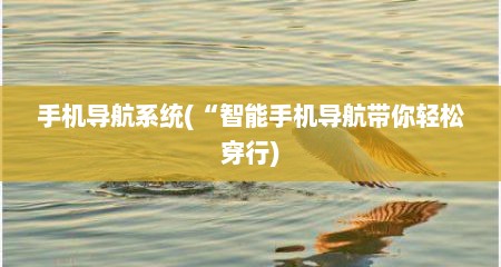 手机导航系统(“智能手机导航带你轻松穿行)