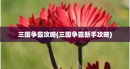 三国争霸攻略(三国争霸新手攻略)