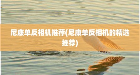 尼康单反相机推荐(尼康单反相机的精选推荐)