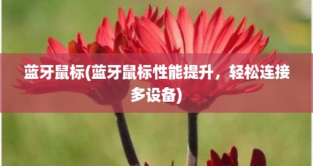 蓝牙鼠标(蓝牙鼠标性能提升，轻松连接多设备)