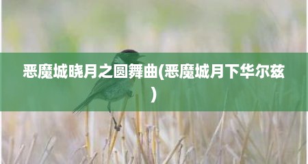 恶魔城晓月之圆舞曲(恶魔城月下华尔兹)