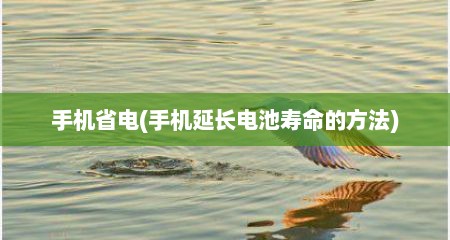 手机省电(手机延长电池寿命的方法)