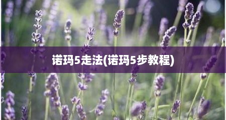诺玛5走法(诺玛5步教程)