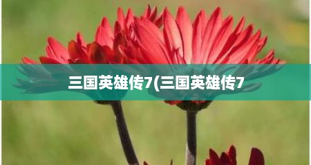 三国英雄传7(三国英雄传7