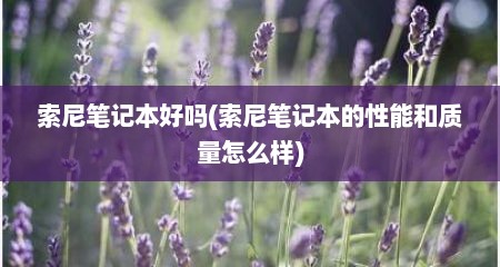 索尼笔记本好吗(索尼笔记本的性能和质量怎么样)