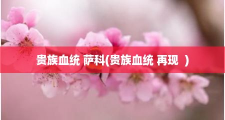 贵族血统 萨科(贵族血统 再现  )