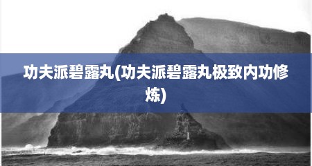 功夫派碧露丸(功夫派碧露丸极致内功修炼)