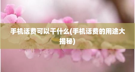 手机话费可以干什么(手机话费的用途大揭秘)
