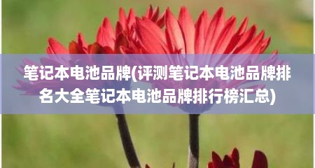 笔记本电池品牌(评测笔记本电池品牌排名大全笔记本电池品牌排行榜汇总)