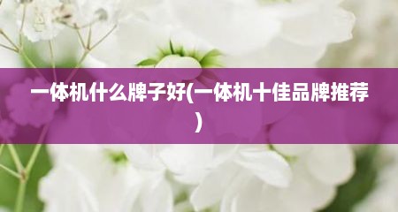 一体机什么牌子好(一体机十佳品牌推荐)