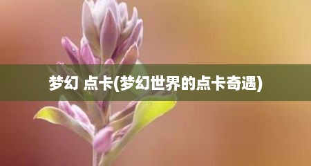 梦幻 点卡(梦幻世界的点卡奇遇)