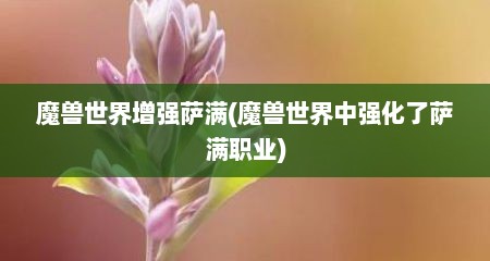 魔兽世界增强萨满(魔兽世界中强化了萨满职业)
