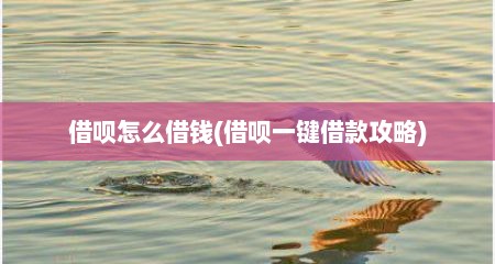 借呗怎么借钱(借呗一键借款攻略)