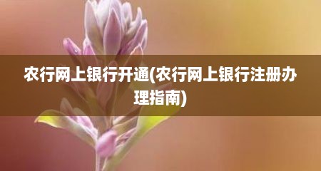 农行网上银行开通(农行网上银行注册办理指南)