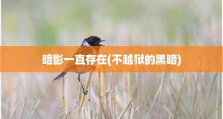 暗影一直存在(不越狱的黑暗)
