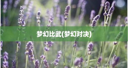 梦幻比武(梦幻对决)
