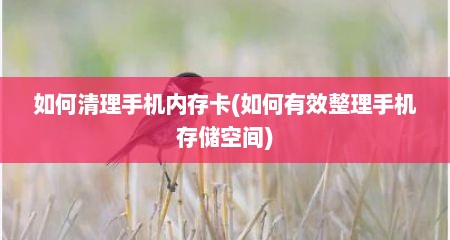 如何清理手机内存卡(如何有效整理手机存储空间)