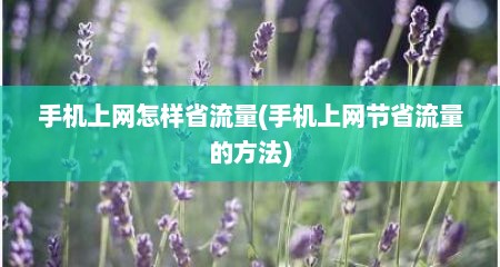 手机上网怎样省流量(手机上网节省流量的方法)
