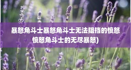 暴怒角斗士暴怒角斗士无法阻挡的愤怒愤怒角斗士的无尽暴怒)