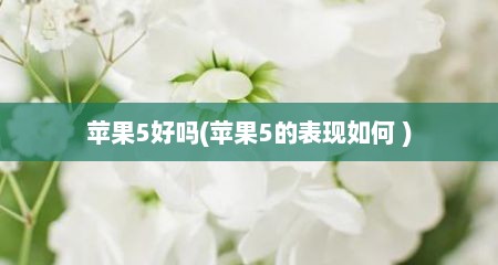 苹果5好吗(苹果5的表现如何 )