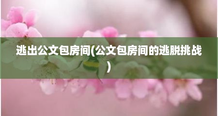 逃出公文包房间(公文包房间的逃脱挑战)