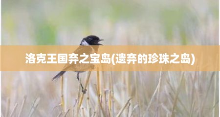 洛克王国弃之宝岛(遗弃的珍珠之岛)