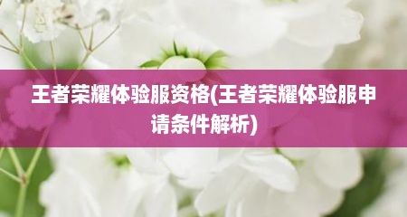 王者荣耀体验服资格(王者荣耀体验服申请条件解析)