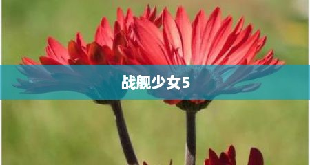 战舰少女5