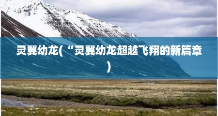 灵翼幼龙(“灵翼幼龙超越飞翔的新篇章)