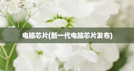 电脑芯片(新一代电脑芯片发布)