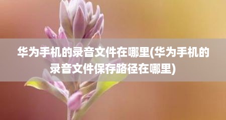华为手机的录音文件在哪里(华为手机的录音文件保存路径在哪里)
