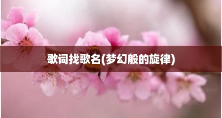 歌词找歌名(梦幻般的旋律)
