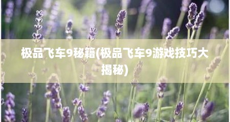 极品飞车9秘籍(极品飞车9游戏技巧大揭秘)