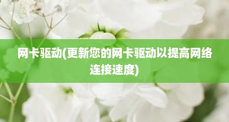 网卡驱动(更新您的网卡驱动以提高网络连接速度)