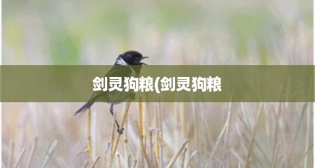 剑灵狗粮(剑灵狗粮