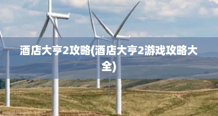 酒店大亨2攻略(酒店大亨2游戏攻略大全)