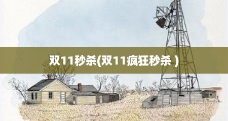 双11秒杀(双11疯狂秒杀 )