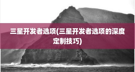 三星开发者选项(三星开发者选项的深度定制技巧)
