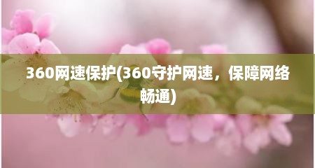 360网速保护(360守护网速，保障网络畅通)