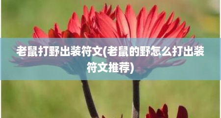 老鼠打野出装符文(老鼠的野怎么打出装符文推荐)