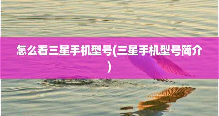 怎么看三星手机型号(三星手机型号简介)